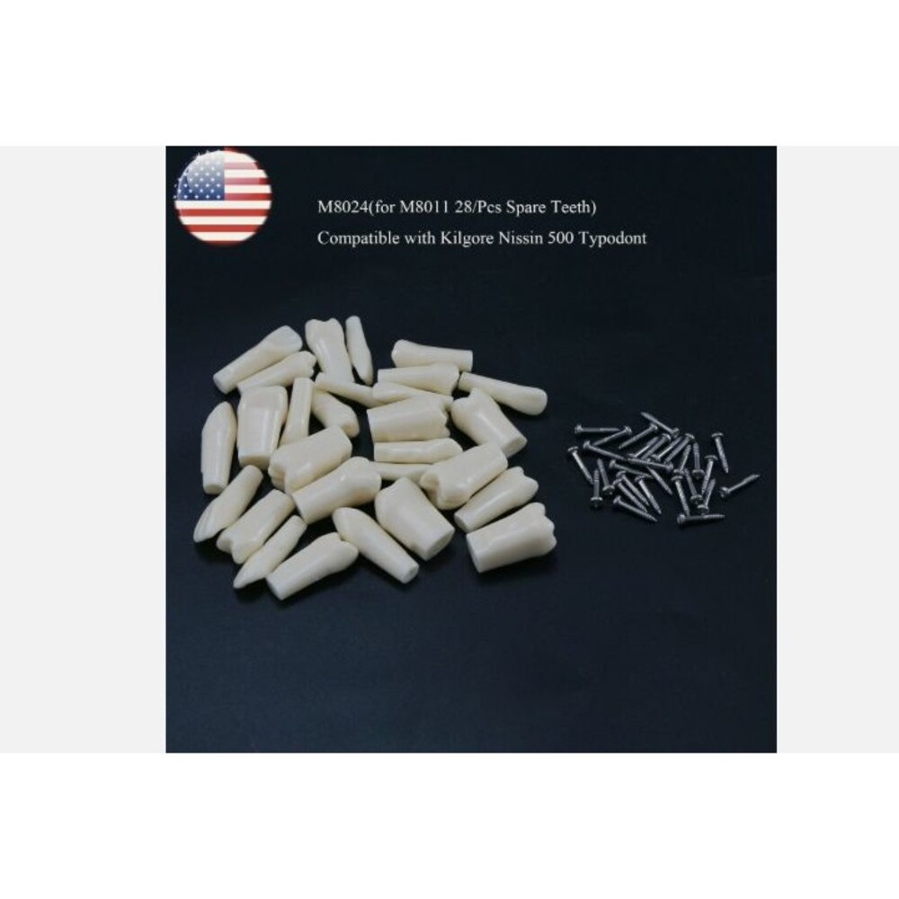 Dental Typodont Replacement 28 Psc Screw-in Teeth Model fit Kilgore NISSIN 500